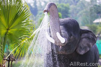 Khaolak Emerald Beach Resort & Spa 29